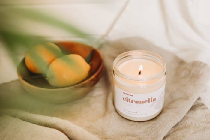 Buy Pure Citronella Candle, 16 oz