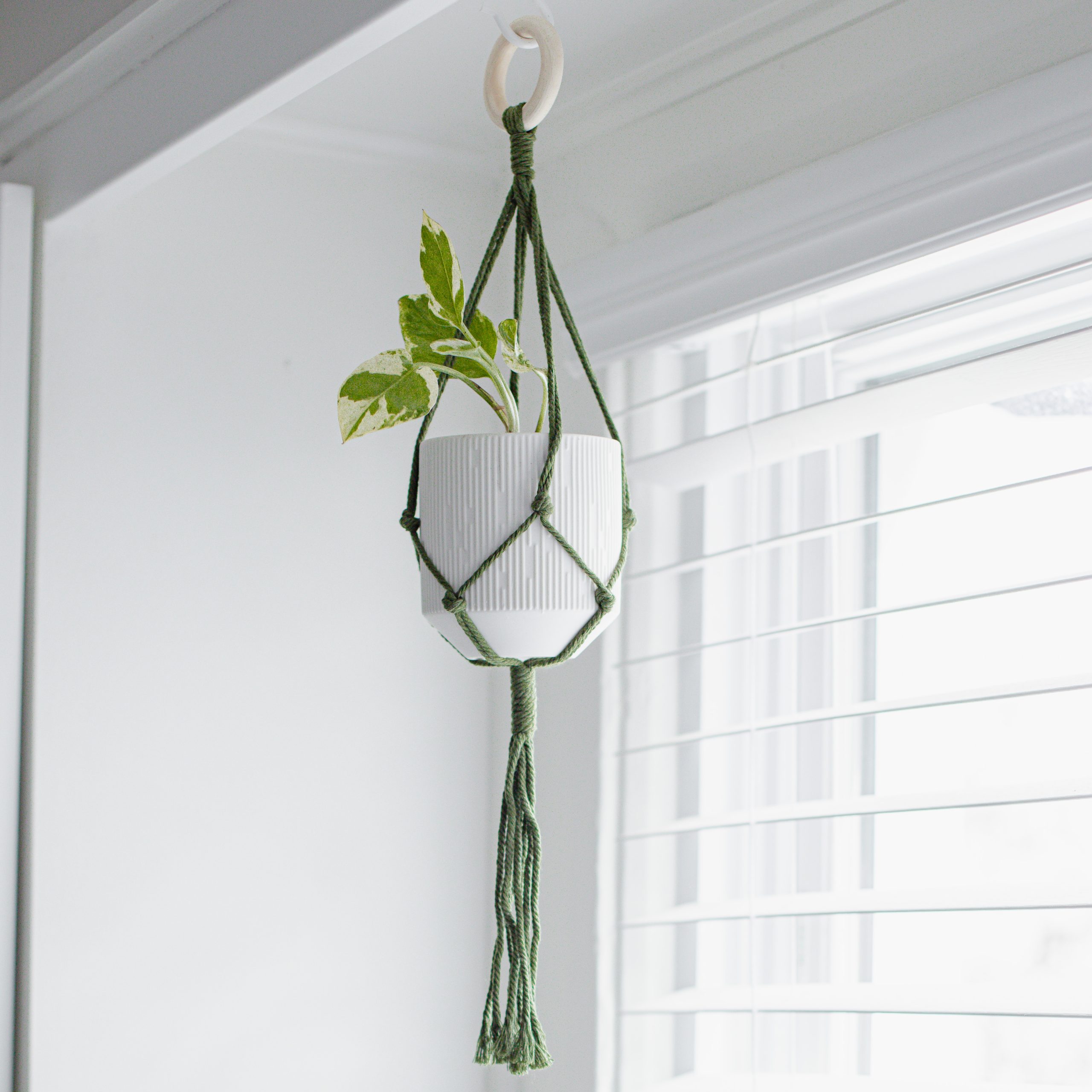 Macrame Plant Hanger - Image 2