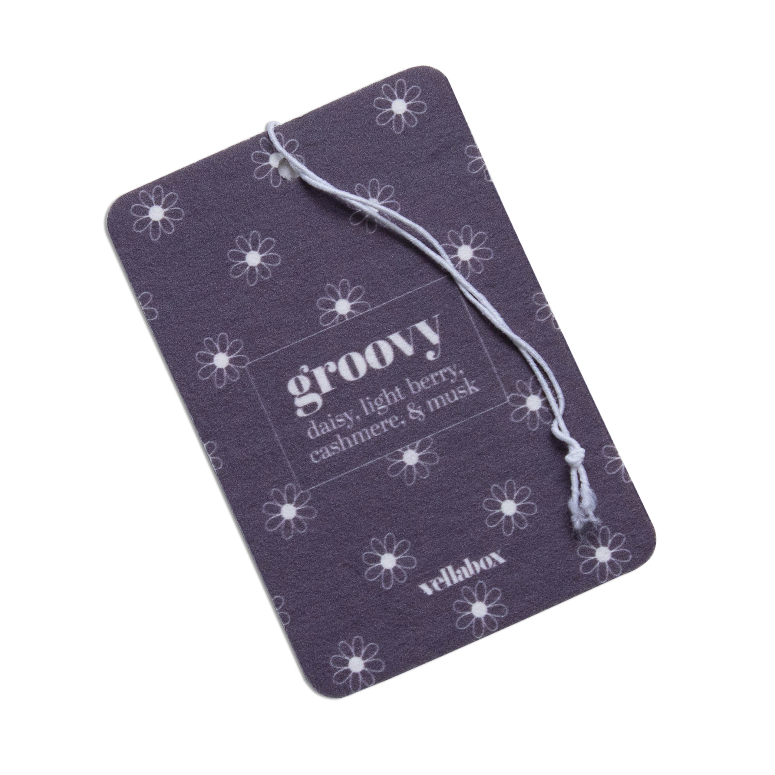 Groovy Hanging Air Freshener | Set of 2