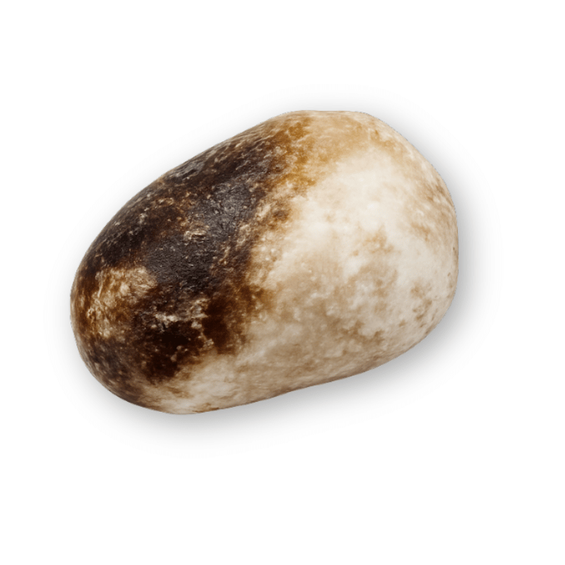 Ambergis