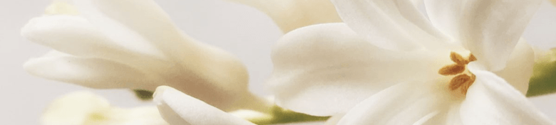 mobile-floral-ok