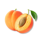 Apricot