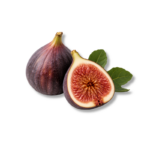 Fig